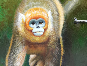 長沙生態動物園金絲猴館壁畫